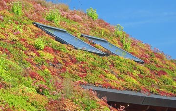 Peatling Parva living roof systems